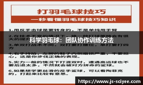 科学羽毛球：团队协作训练方法
